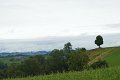 1125_P1090142