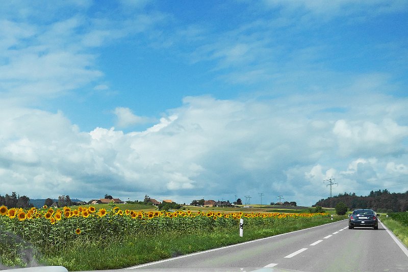 2110_P1080031.JPG