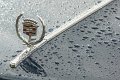6015_d_reinhard_Cadillac_24_1437