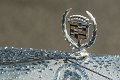 6055_d_reinhard_Cadillac_24_1567_A