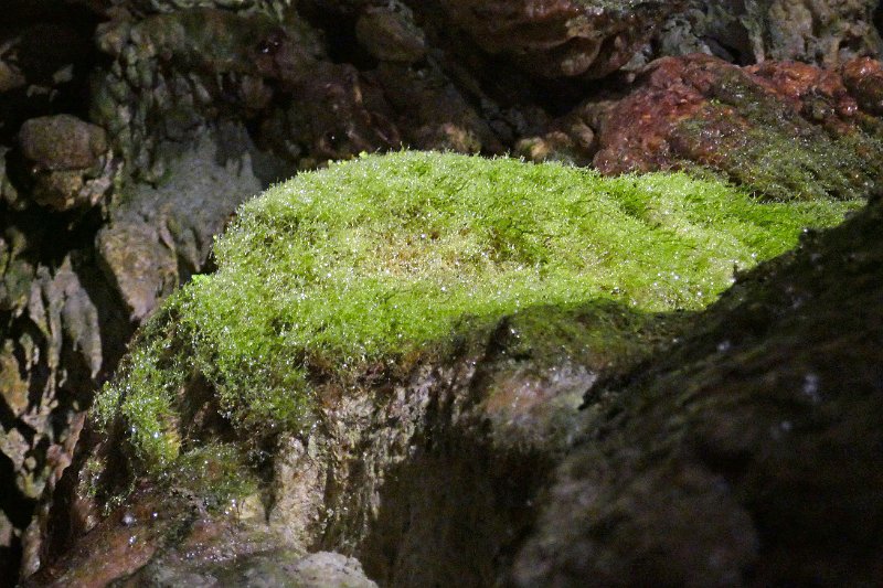 2050_P1280533.JPG