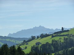 0140_P1750378
