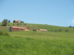 0175_P8270973