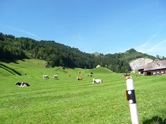 0190_P1750418