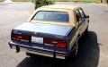 1984_Cimarron_05_eb