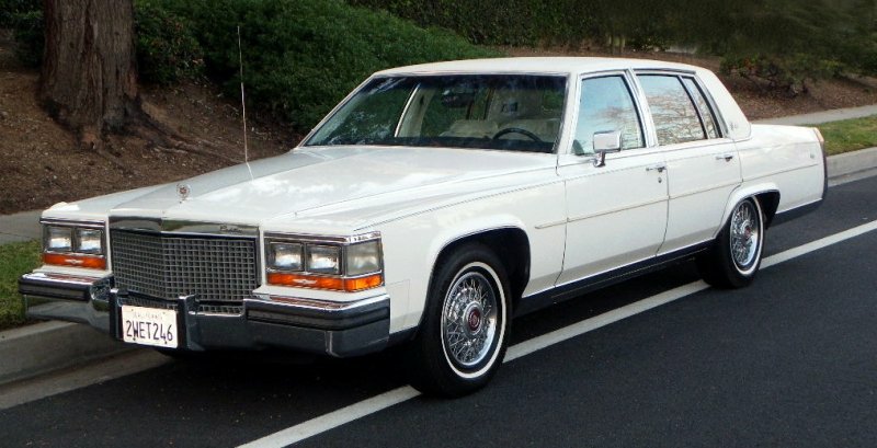 1987_Fleetwood_04_eb.jpg - 1987 Fleetwood