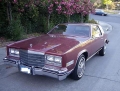 1984_Eldorado_01_eb