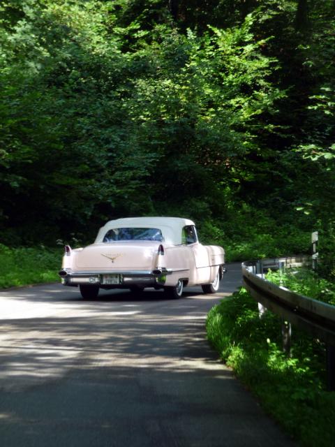 20100808-016_P1180918.JPG - Im Schwarzwald gibts auch lichte Wälder...