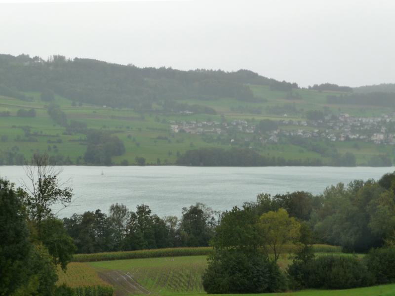 110_P1340627.JPG - Dem Hallwilersee entlang