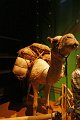 2045_P1270286