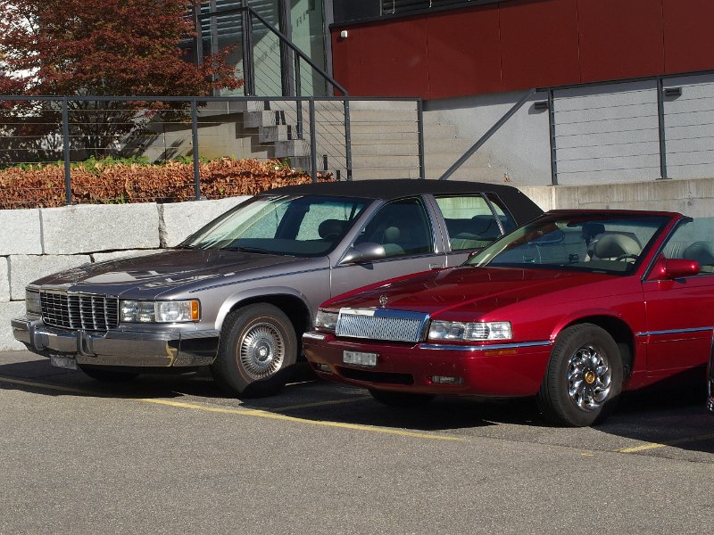 030_P8230234.JPG
