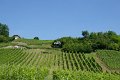 224_P1380083