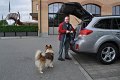 130_DSC_3501rr