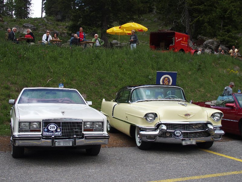 388_P6075523.JPG